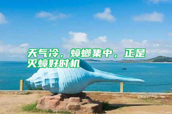 天氣冷，蟑螂集中，正是滅蟑好時(shí)機(jī)