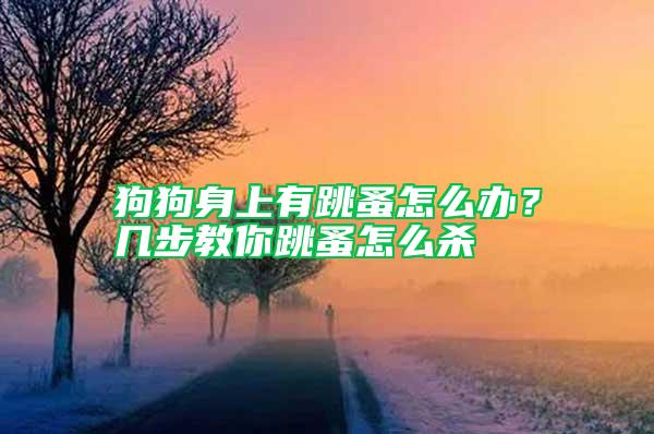 狗狗身上有跳蚤怎么辦？幾步教你跳蚤怎么殺
