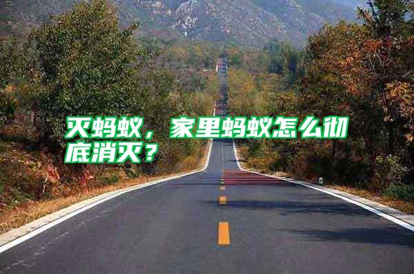 滅螞蟻，家里螞蟻怎么徹底消滅？