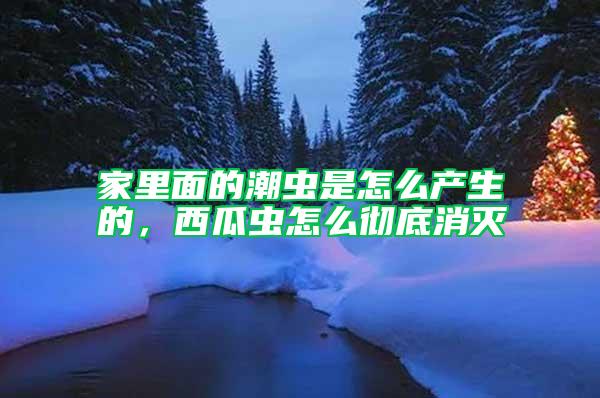 家里面的潮蟲(chóng)是怎么產(chǎn)生的，西瓜蟲(chóng)怎么徹底消滅