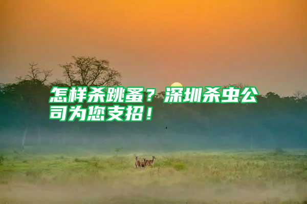 怎樣殺跳蚤？深圳殺蟲公司為您支招！