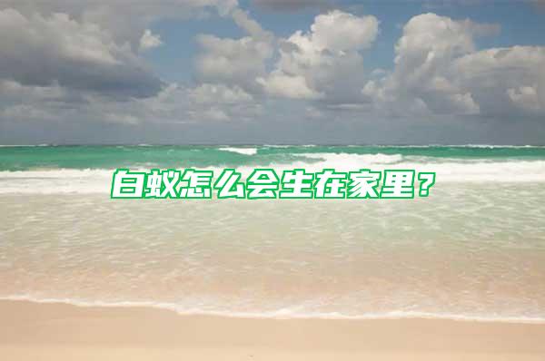白蟻怎么會生在家里？
