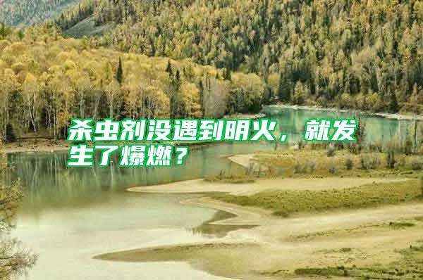 殺蟲劑沒遇到明火，就發(fā)生了爆燃？