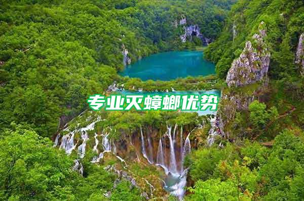 專業(yè)滅蟑螂優(yōu)勢