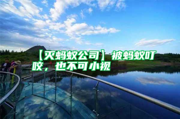 【滅螞蟻公司】被螞蟻叮咬,也不可小視