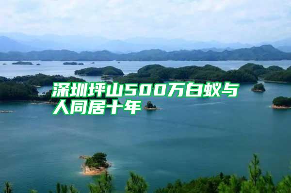 深圳坪山500萬(wàn)白蟻與人同居十年