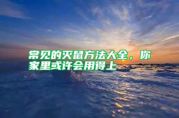 常見的滅鼠方法大全，你家里或許會(huì)用得上
