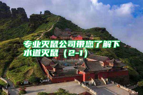 專業(yè)滅鼠公司帶您了解下水道滅鼠(2-1)