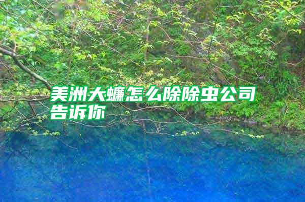 美洲大蠊怎么除除蟲(chóng)公司告訴你