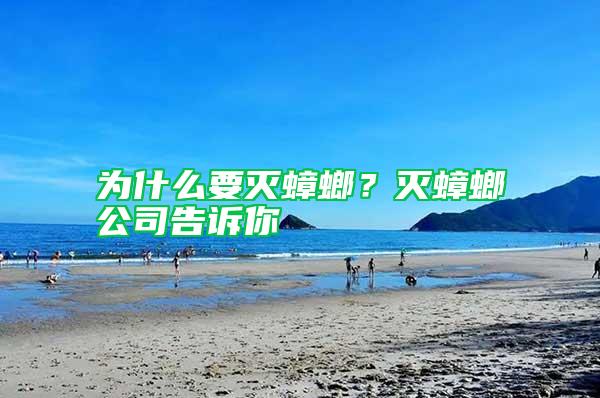 為什么要滅蟑螂？滅蟑螂公司告訴你