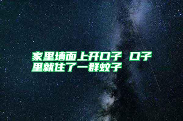 家里墻面上開(kāi)口子 口子里就住了一群蚊子