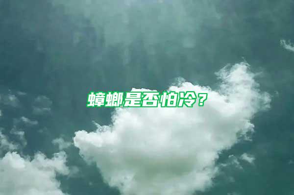 蟑螂是否怕冷？