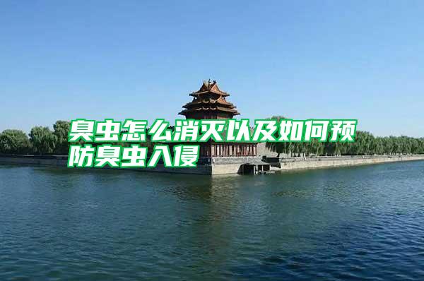 臭蟲(chóng)怎么消滅以及如何預(yù)防臭蟲(chóng)入侵