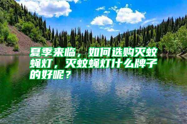 夏季來臨，如何選購滅蚊蠅燈，滅蚊蠅燈什么牌子的好呢？