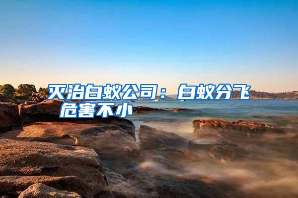 滅治白蟻公司:白蟻分飛 危害不小