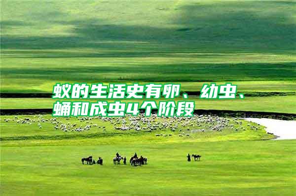 蟻的生活史有卵、幼蟲、蛹和成蟲4個階段