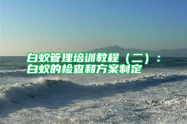 白蟻管理培訓(xùn)教程(二):白蟻的檢查和方案制定