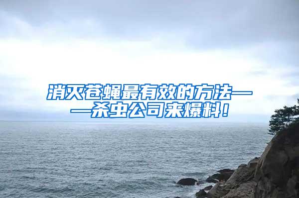 消滅蒼蠅最有效的方法——?dú)⑾x公司來爆料！