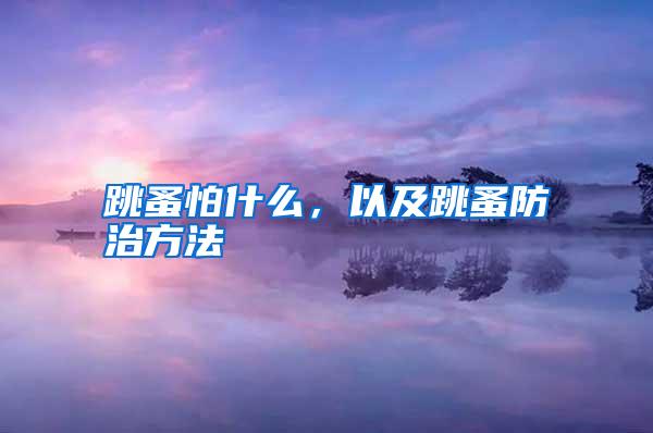 跳蚤怕什么，以及跳蚤防治方法