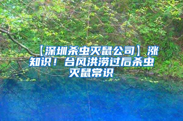 【深圳殺蟲滅鼠公司】漲知識(shí)！臺(tái)風(fēng)洪澇過后殺蟲滅鼠常識(shí)