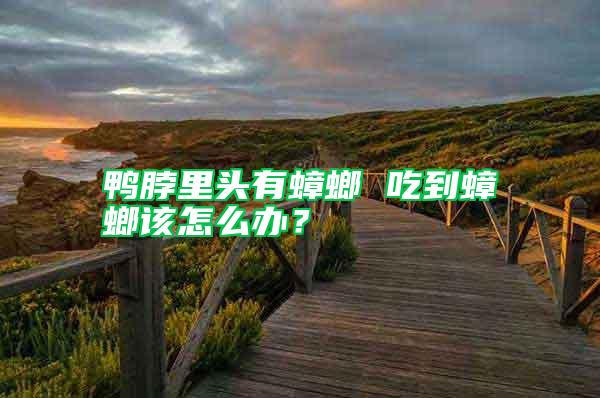 鴨脖里頭有蟑螂 吃到蟑螂該怎么辦？
