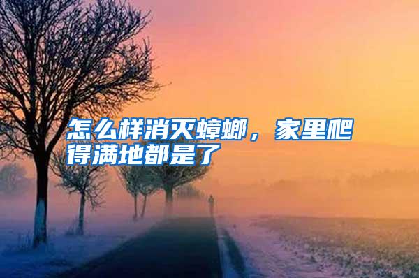 怎么樣消滅蟑螂，家里爬得滿地都是了