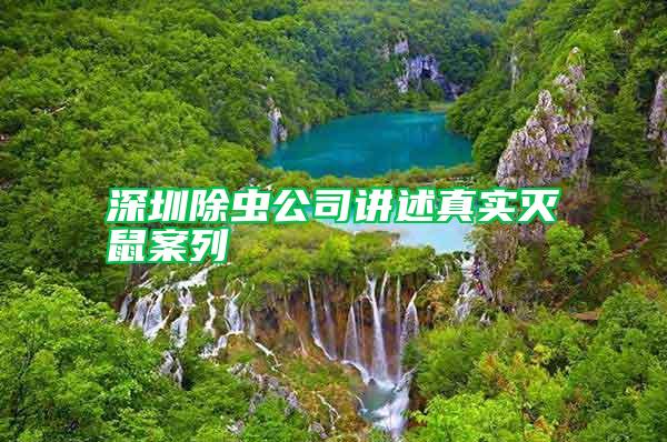 深圳除蟲公司講述真實滅鼠案列