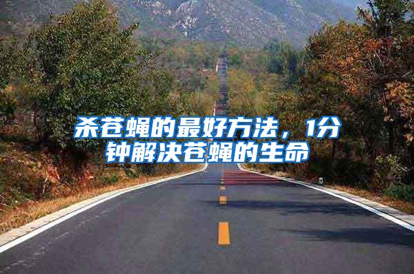 殺蒼蠅的最好方法，1分鐘解決蒼蠅的生命