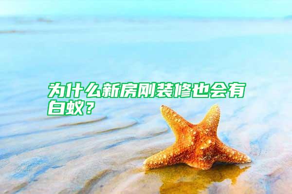 為什么新房剛裝修也會(huì)有白蟻？