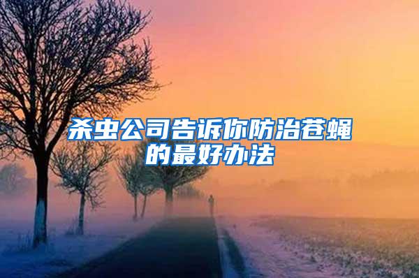 殺蟲(chóng)公司告訴你防治蒼蠅的最好辦法