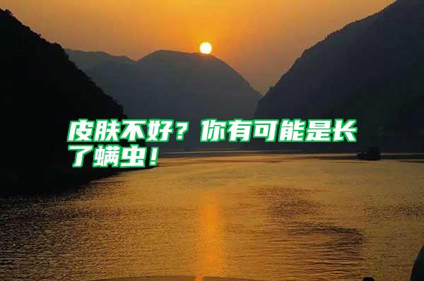 皮膚不好？你有可能是長了螨蟲！
