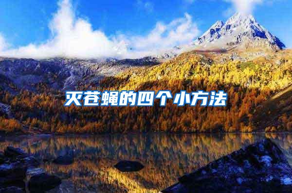 滅蒼蠅的四個(gè)小方法