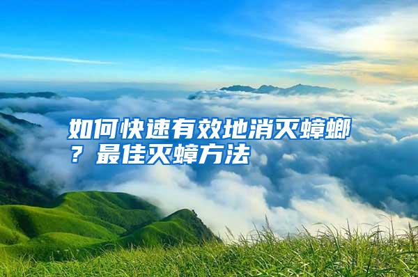 如何快速有效地消滅蟑螂?最佳滅蟑方法