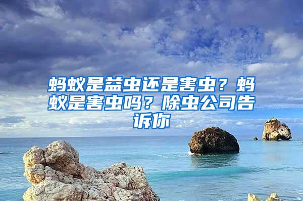 螞蟻是益蟲還是害蟲？螞蟻是害蟲嗎？除蟲公司告訴你