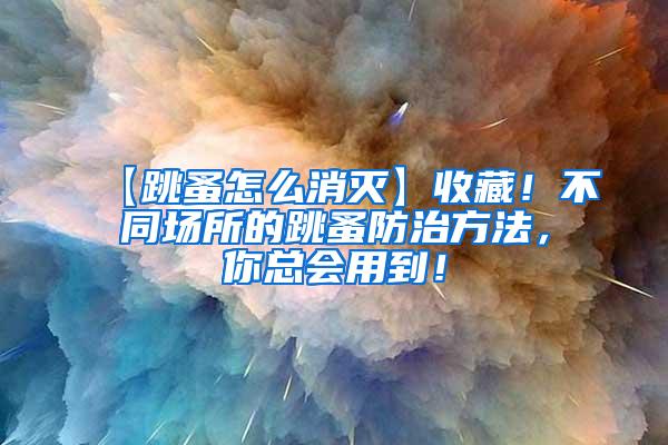 【跳蚤怎么消滅】收藏！不同場所的跳蚤防治方法，你總會用到！