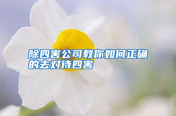 除四害公司教你如何正確的去對(duì)待四害
