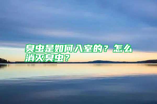 臭蟲是如何入室的？怎么消滅臭蟲？