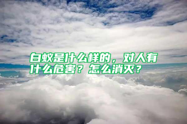 白蟻是什么樣的，對人有什么危害？怎么消滅？