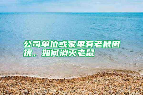 公司單位或家里有老鼠困擾，如何消滅老鼠