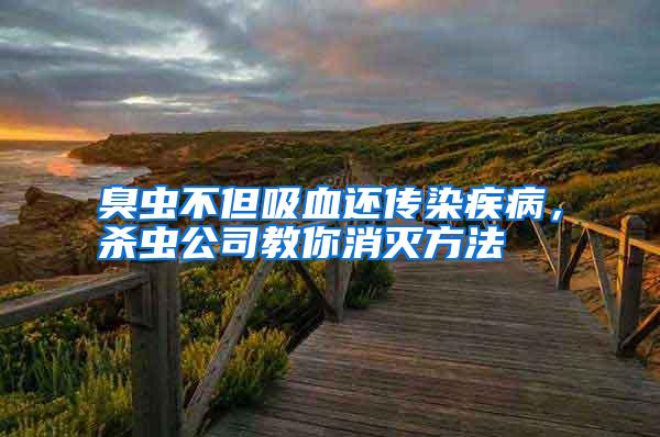 臭蟲不但吸血還傳染疾病，殺蟲公司教你消滅方法