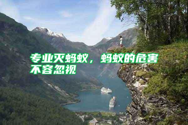 專業(yè)滅螞蟻,螞蟻的危害不容忽視