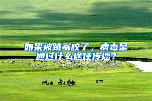 如果被跳蚤咬了，病毒是通過(guò)什么途徑傳播？