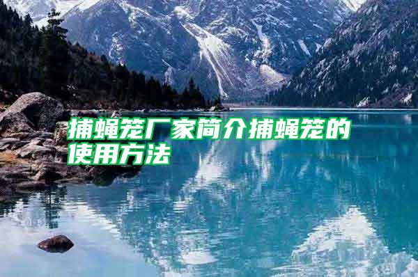 捕蠅籠廠家簡介捕蠅籠的使用方法