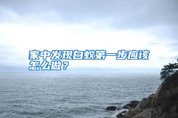 家中發(fā)現(xiàn)白蟻第一步應該怎么做？