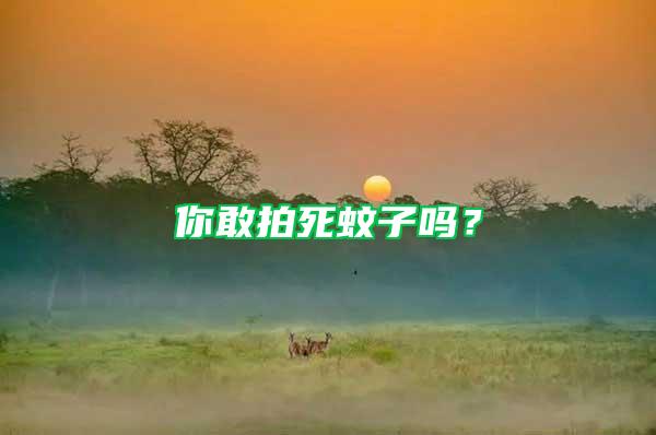 你敢拍死蚊子嗎？