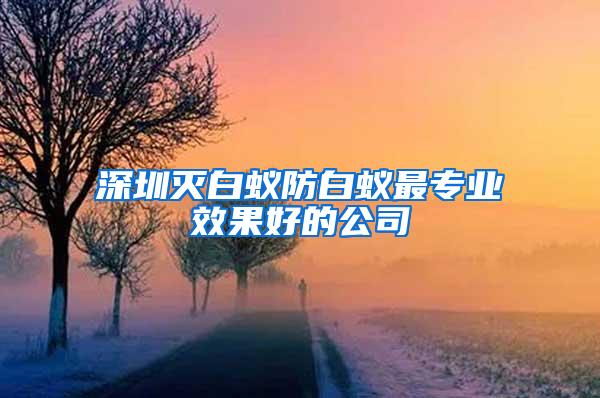 深圳滅白蟻防白蟻最專業(yè)效果好的公司