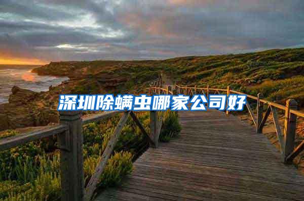 深圳除螨蟲(chóng)哪家公司好