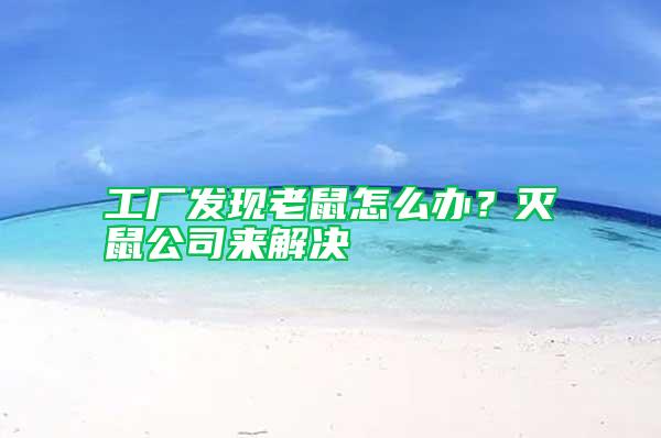 工廠發(fā)現(xiàn)老鼠怎么辦？滅鼠公司來解決