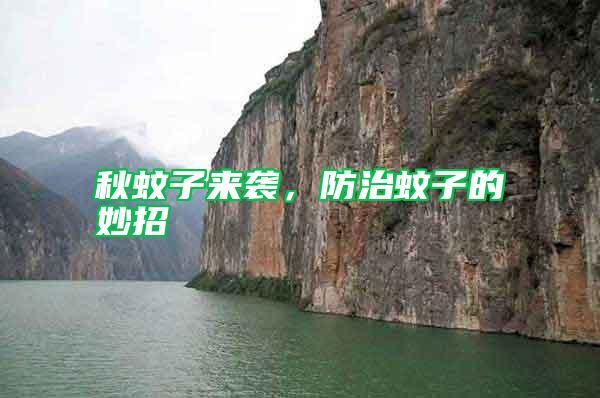 秋蚊子來(lái)襲，防治蚊子的妙招