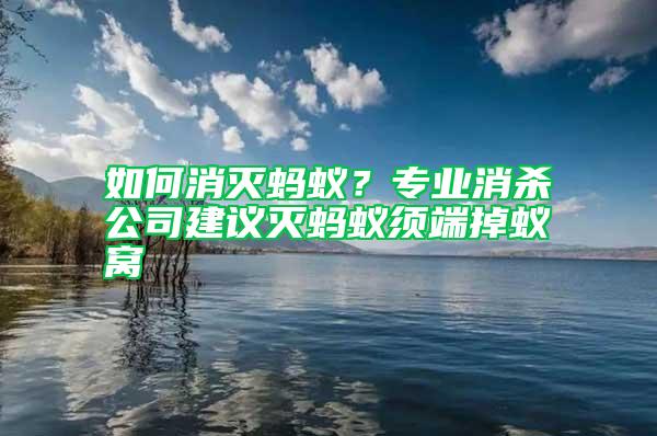 如何消滅螞蟻？專業(yè)消殺公司建議滅螞蟻須端掉蟻窩